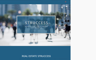 Real Estate Struccess